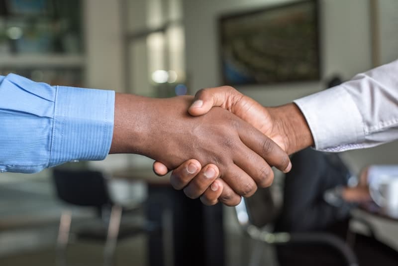 Immigration Consultants